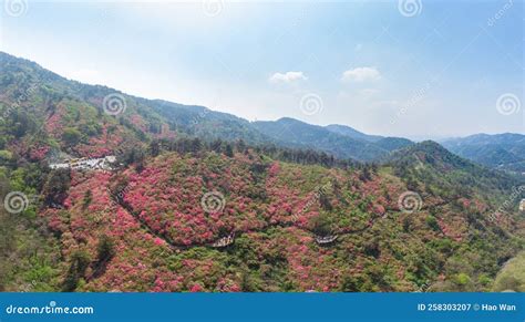 黃陂雲霧山在哪裏：探索自然與人文的交匯點